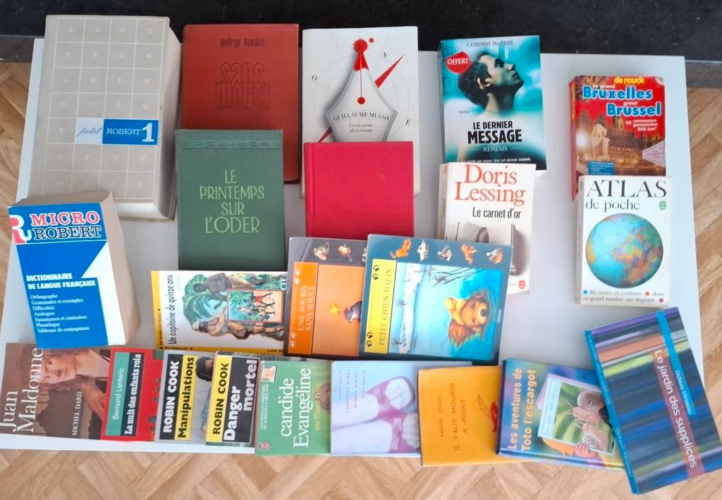 Lot de livres en français – romans, dictionnaires, atlas, Diversen, Rommelmarktspullen, Zo goed als nieuw, Ophalen of Verzenden
