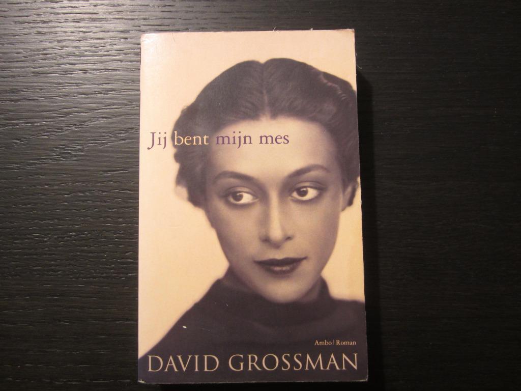 Jij bent mijn mes  -David Grossman-, Boeken, Ophalen of Verzenden