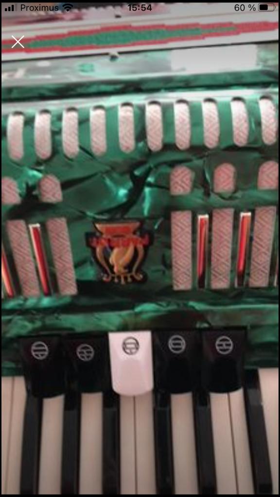 Accordéon parot neuf, Neuf, Autres marques, Avec bretelles, Enlèvement