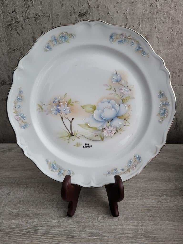Prachtig bord van Limoge, Ophalen of Verzenden