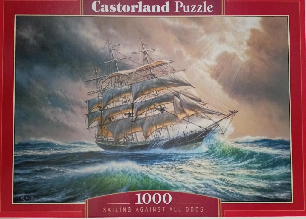 Puzzle de 1000 pièces, Enlèvement, 500 à 1500 pièces, Comme neuf, Puzzle