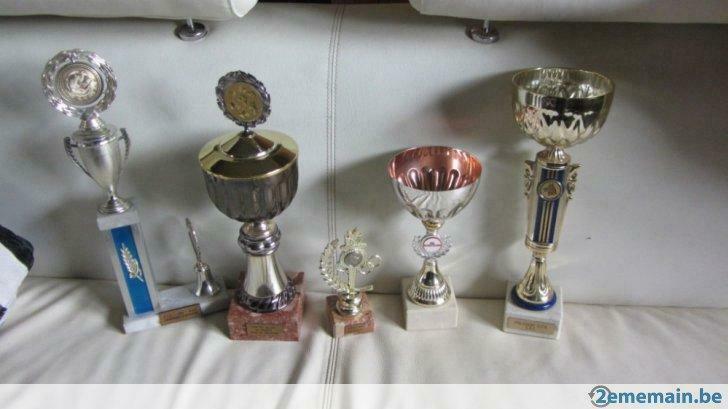 lot de 5 coupes - concours de  chiens, Neuf