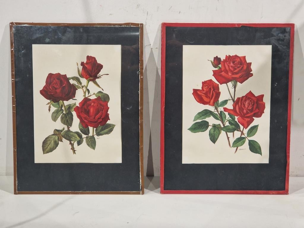 Roses by Anne Marie Threslin 1961 , Christian Dior roos en, Enlèvement ou Envoi