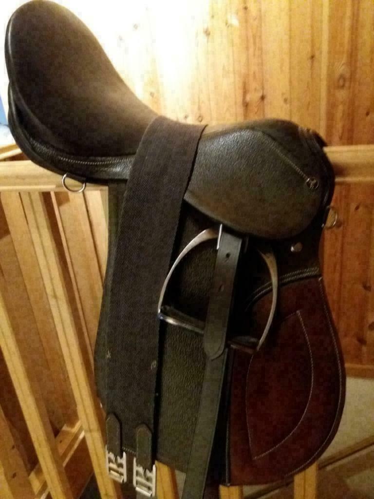 Selle mixte complète (avec étrivières et sangle) jamais util, Dieren en Toebehoren, Ophalen