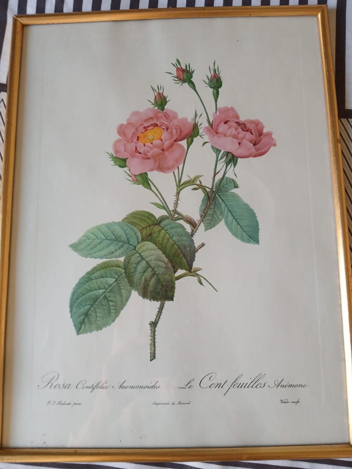 Kaders, Ophalen