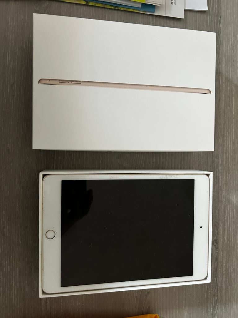 Oude ipads mini werkt prima maar verzwakte batterij, Ophalen, Zo goed als nieuw