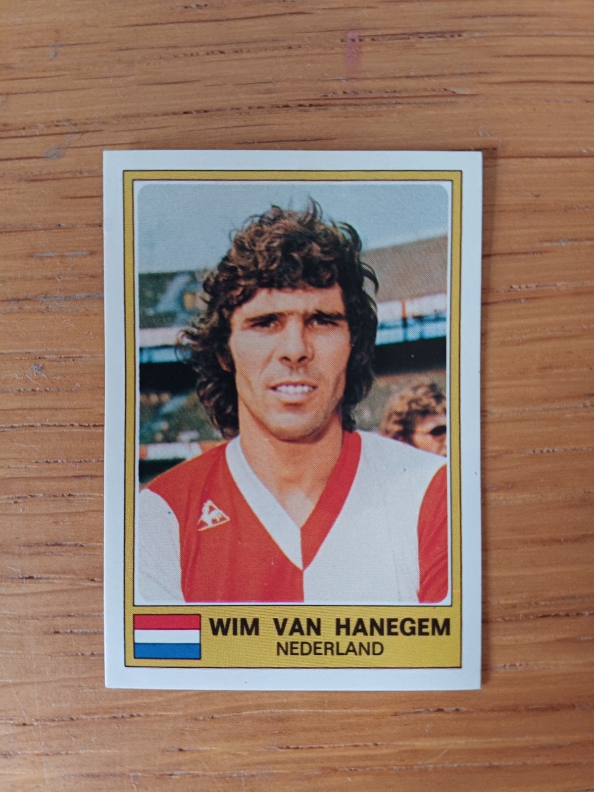 Panini Euro Football 76 Van Haneghem, Enlèvement ou Envoi