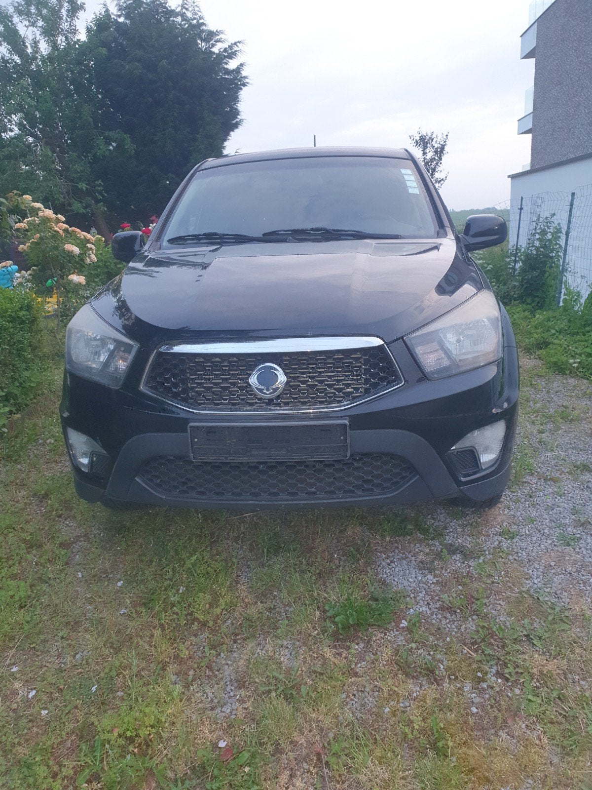 Scangyong Action Sport, Auto's, SsangYong, Euro 5, Automatische klimaatregeling, Zwart, Bedrijf