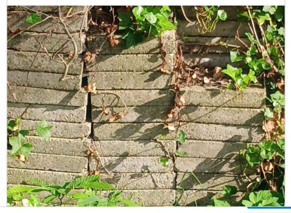 Stoeptegels gratis, Enlèvement