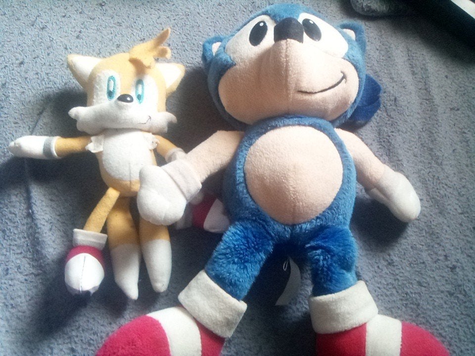 peluches sonic et tails, Enlèvement