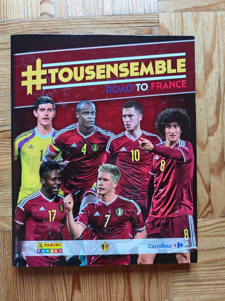 Tousensemble road to france 2015, Verzamelen, Ophalen of Verzenden, Gebruikt, Poster, Plaatje of Sticker