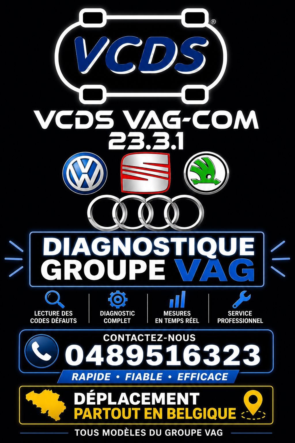 Diagnostique professionel pour groupe vag, Enlèvement, Comme neuf