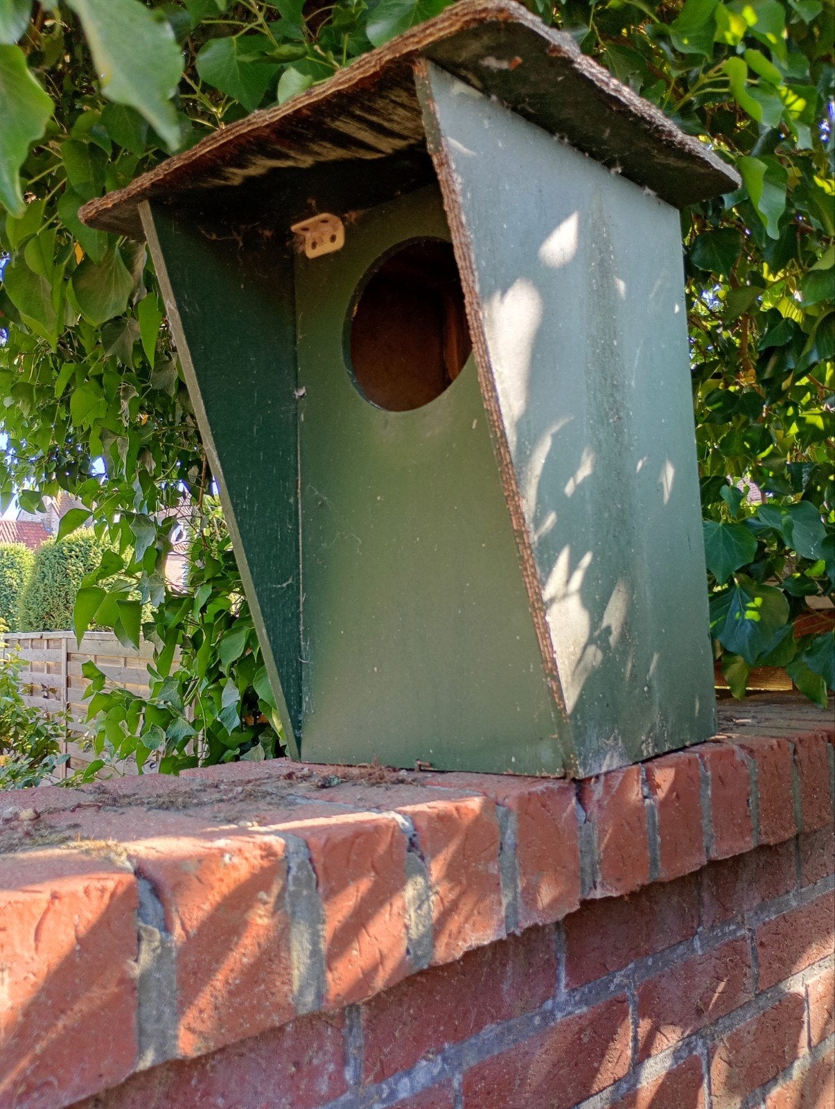Vogelhuis voor uil, roofvogels, Ophalen of Verzenden
