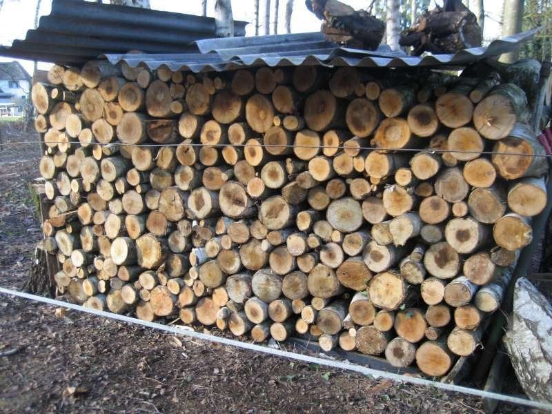 6,5 kuub brandhout Berk, Ophalen, Berkenhout