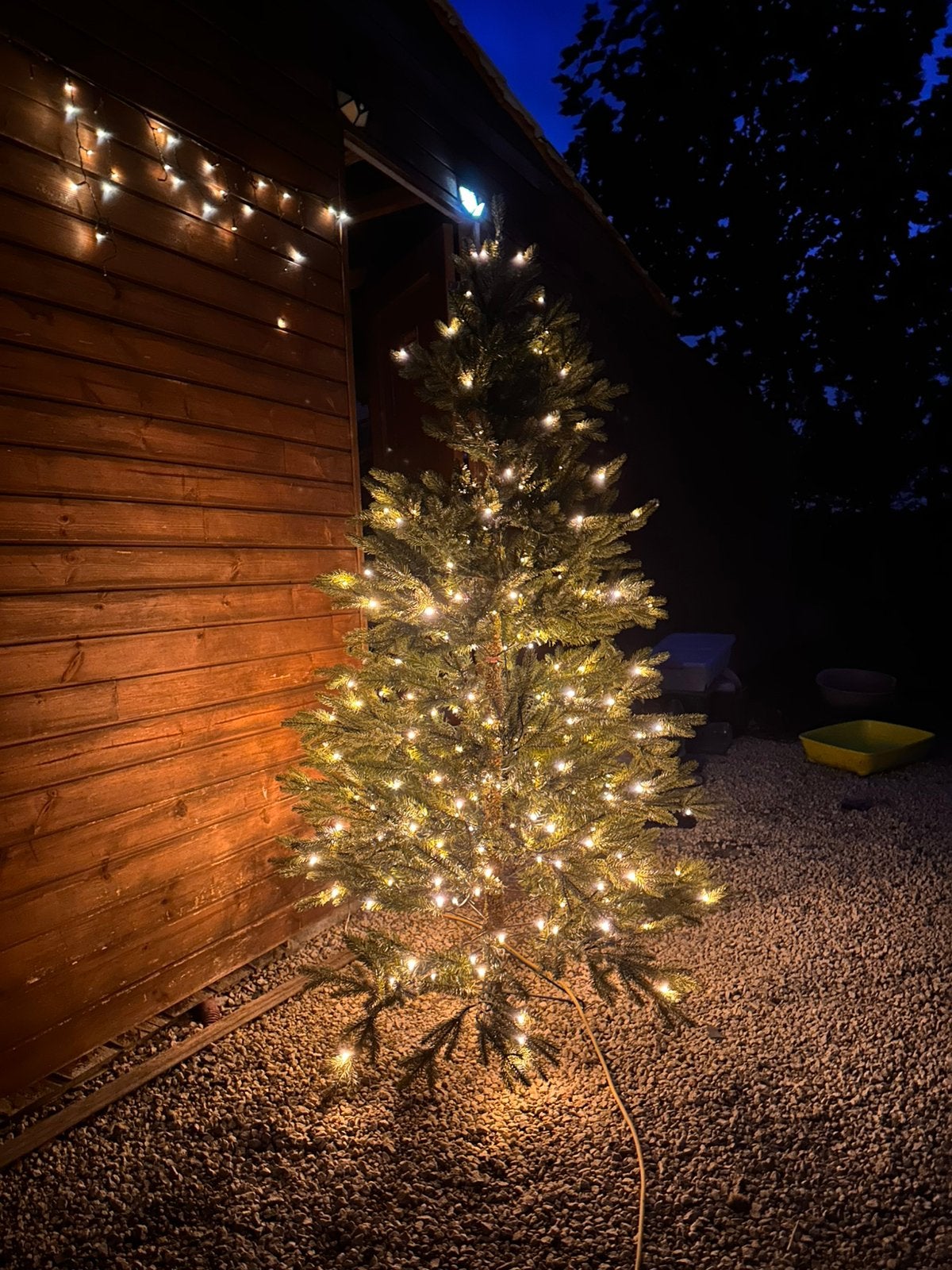 Sapin de Noël Triumph avec éclairage intégré, Enlèvement, Comme neuf