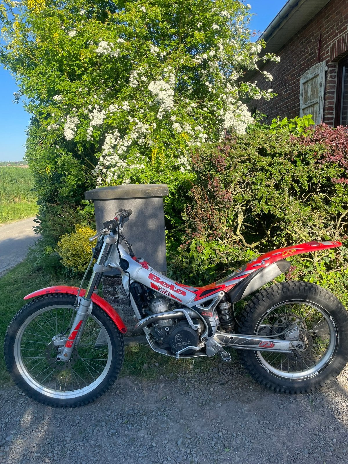 Moto trial Beta rev 3 250cc, Enlèvement, 1 cylindre, Plus de 35 kW