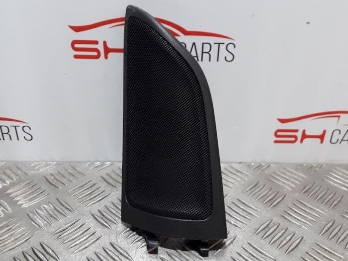 Tweeter d'un Mercedes B-Klasse, 3 mois de garantie, Utilisé, -, -