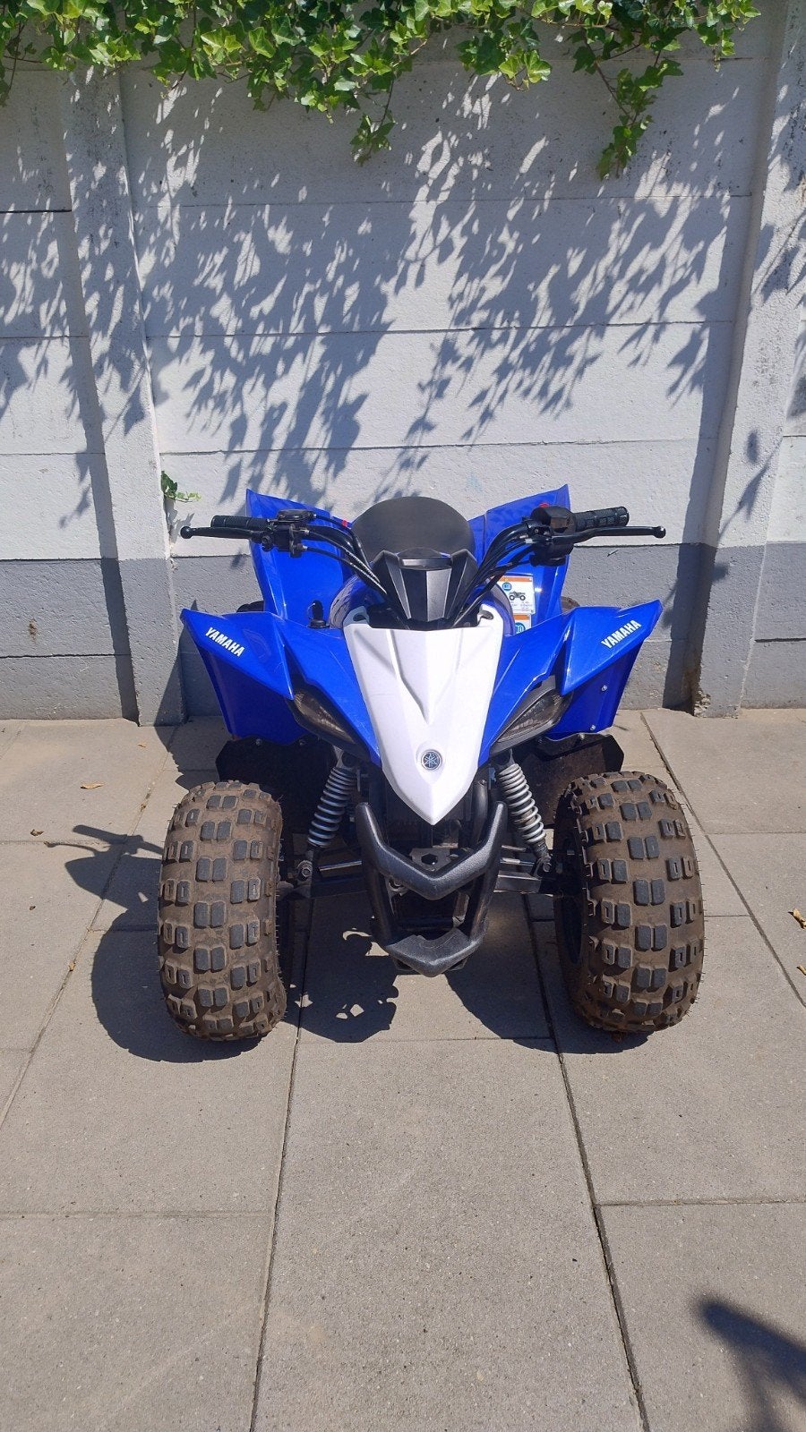 Yamaha YFZ 50cc kinderquad 2018, Ophalen