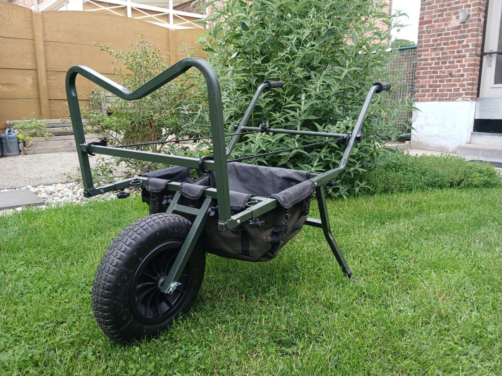 Kruiwagen karper, Enlèvement