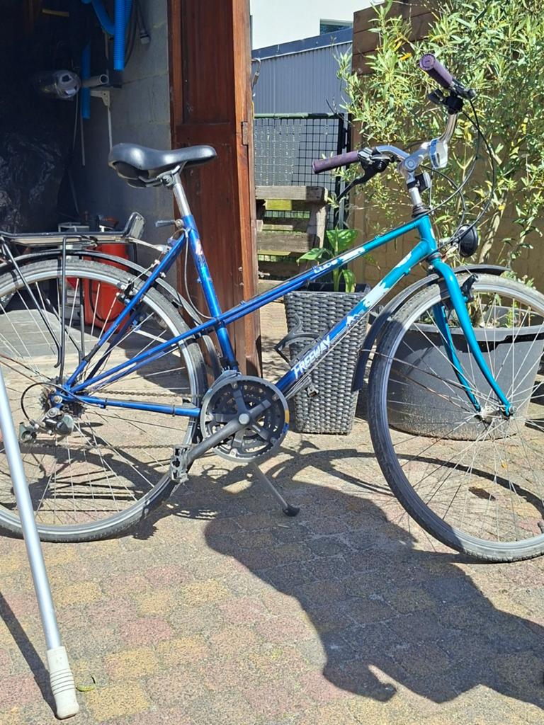 Ludo fiets nog in orde te zetten, Enlèvement