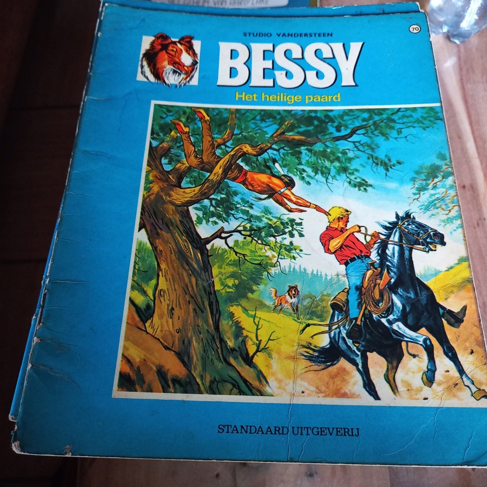 Bessy, Boeken, Ophalen of Verzenden, Gelezen