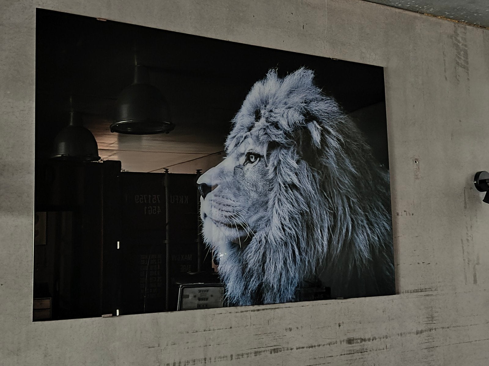 :
XXL Glasschilderij Leeuw (Echt Gehard Glas) – 180 x 120 cm, Ophalen