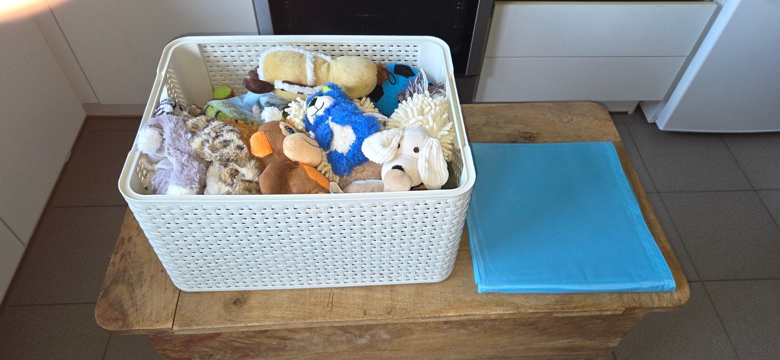 speeltjes voor honden bak niet inbegrepen + koolmat, Kinderen en Baby's, Speelgoed | Speeltafels, Ophalen, Gebruikt