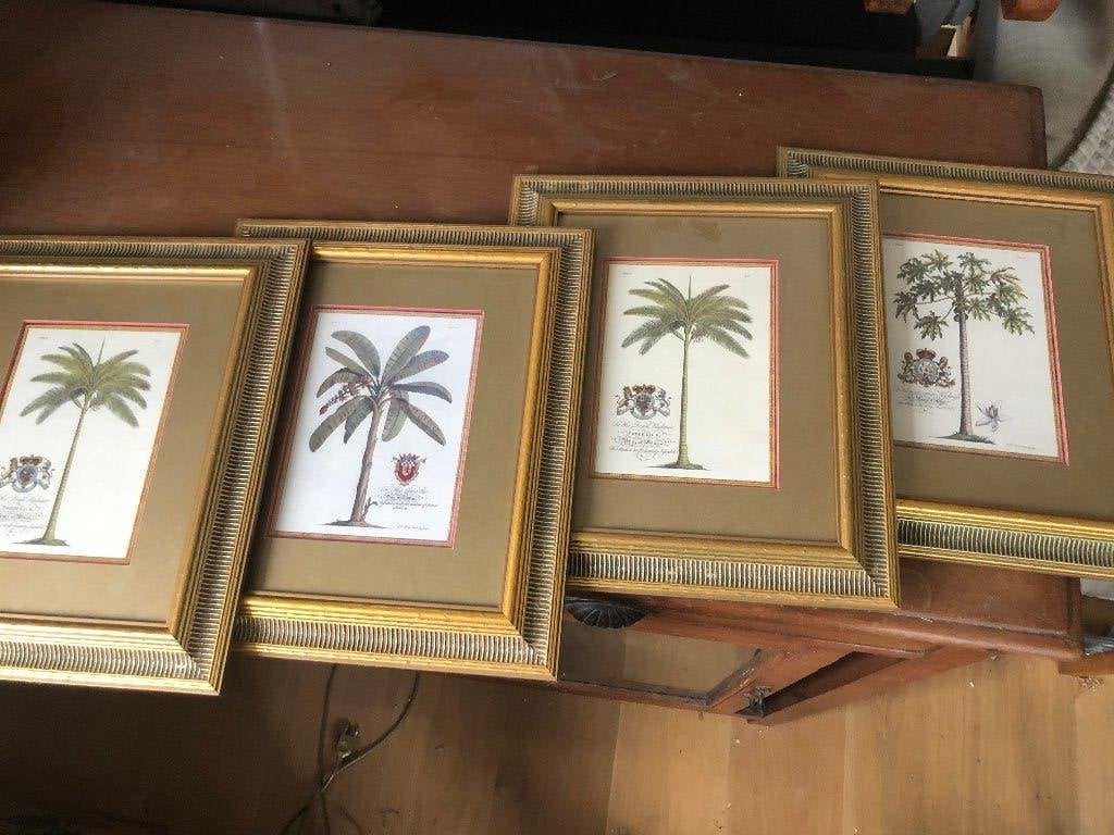Sierkaders, Antiek en Kunst, Ophalen of Verzenden, Achter glas, Overige onderwerpen, Papier