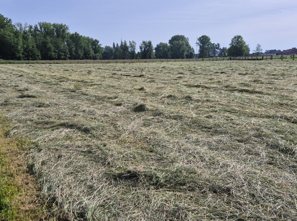 Hooi, pakjes hooi, Dieren en Toebehoren