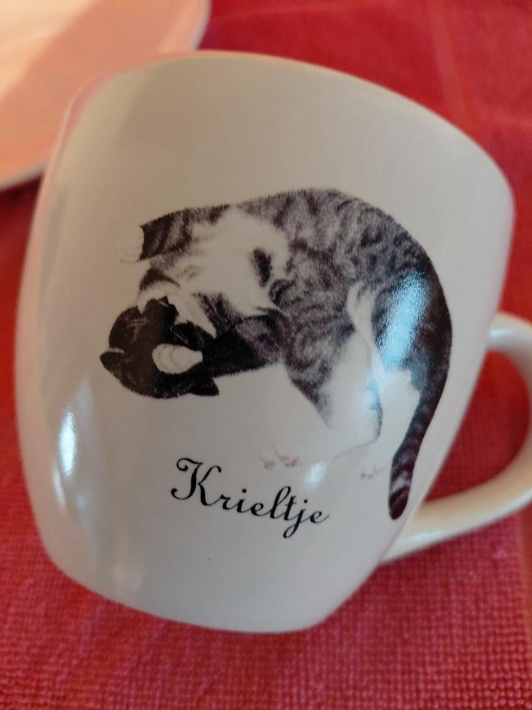 Kopje en schoteltje Franciens katten, Ophalen