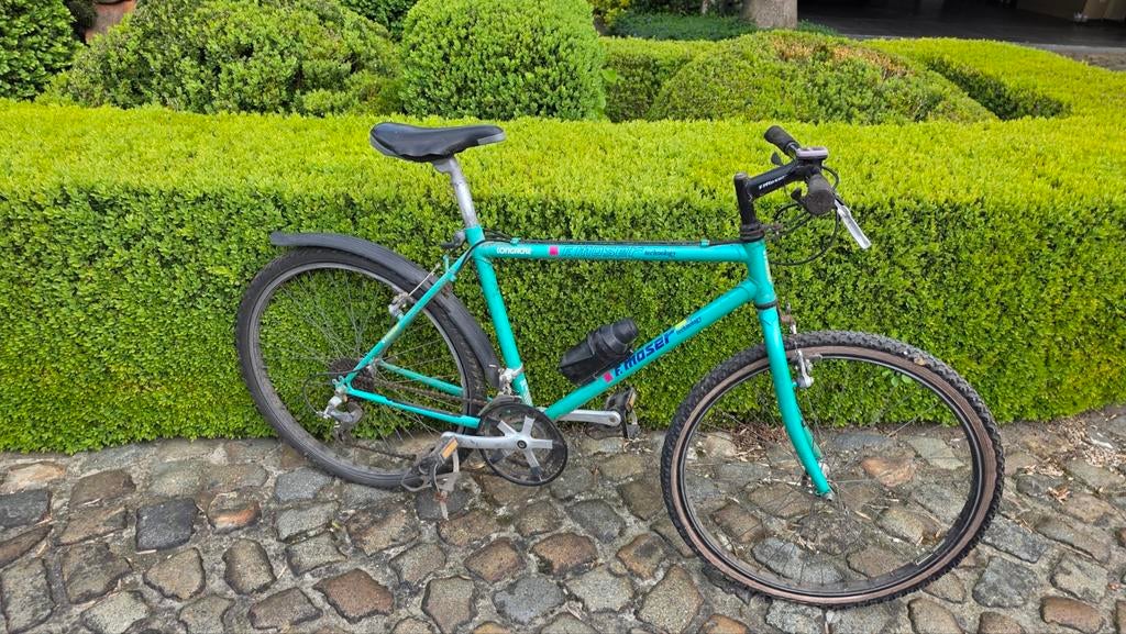 Mountainbike moser, Fietsen en Brommers, Ophalen