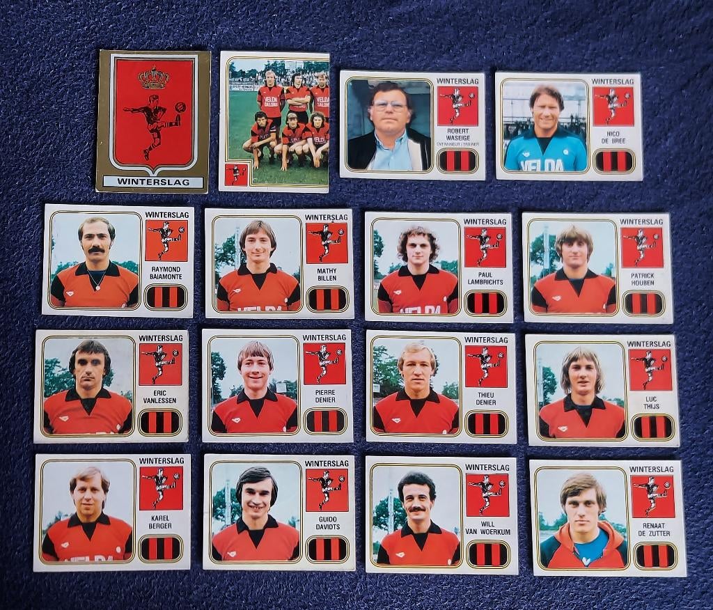 16 versch. Panini stickers voetbal ' FB 1981 - Winterslag ', Ophalen of Verzenden, Nieuw, Meerdere stickers