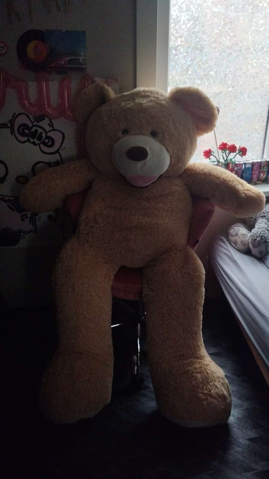 Ours en peluche XXL, Enlèvement