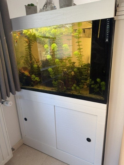 AQUARIUM BIO VINYLE 300l - MODELE UNIQUE, Dieren en Toebehoren, Vissen | Aquaria en Toebehoren, Gebruikt, Gevuld zoetwateraquarium