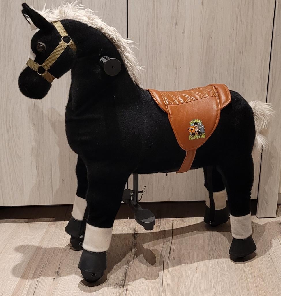 Paard, Dieren en Toebehoren