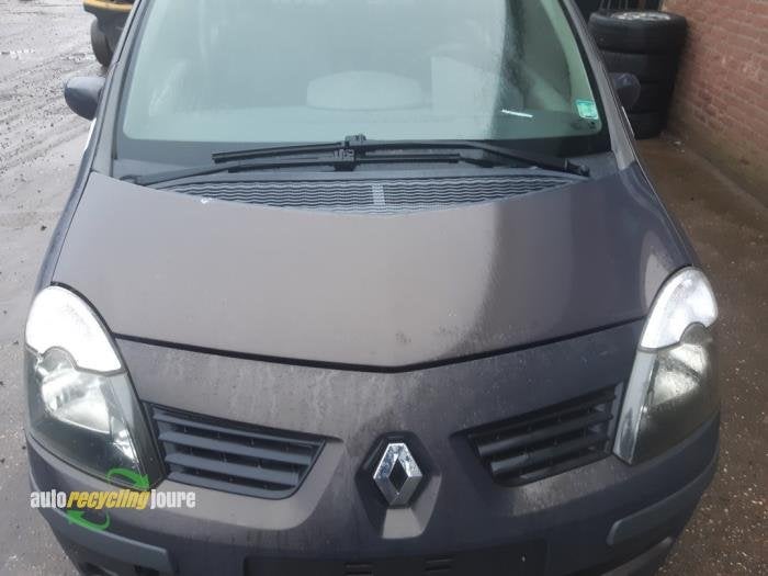 Capot d'un Renault Modus (TED14), -, Renault, -, 3 mois de garantie
