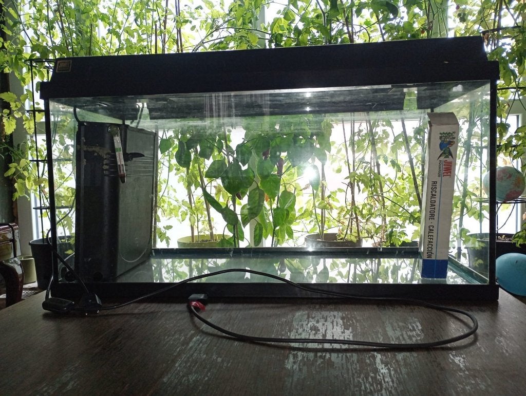Grand aquarium pour poissons ( environ 110L), Ophalen, Inclusief toebehoren, Gebruikt, Leeg aquarium