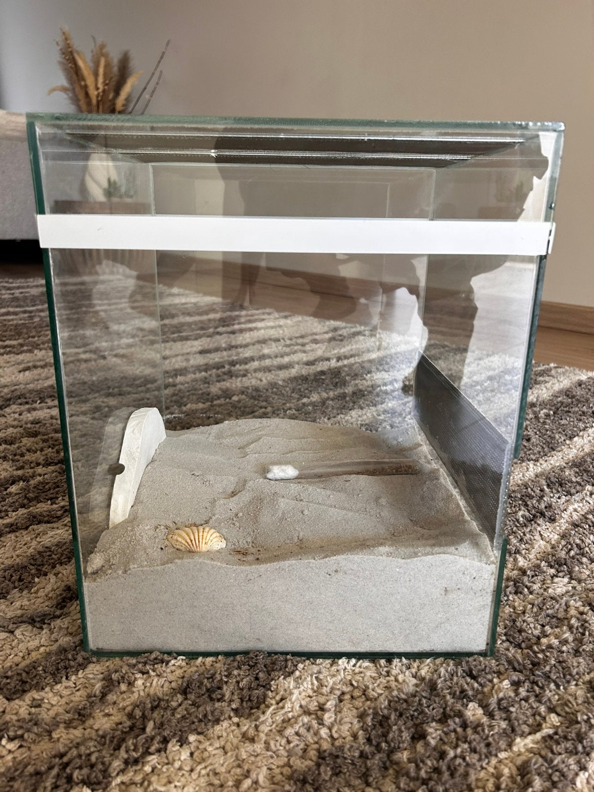 Terrarium, Enlèvement ou Envoi, Comme neuf, Terrarium ou Paludarium