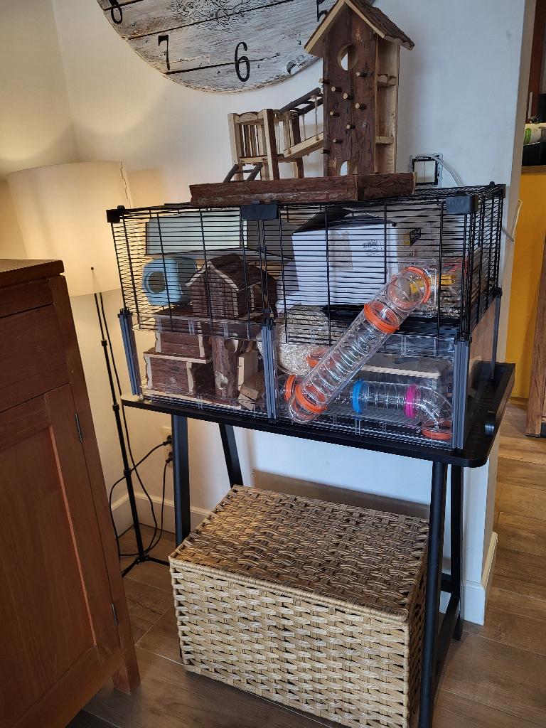 hamster kooi met toebehoren, Ophalen of Verzenden, Zo goed als nieuw, Kooi, Muis