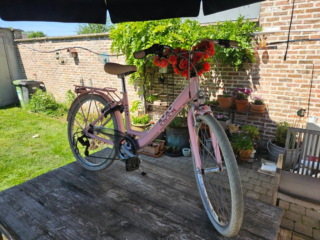 Meisjesfiets lots of love 24 inch, Fietsen en Brommers, Fietsen | Meisjes, Ophalen, 24 inch, Versnellingen