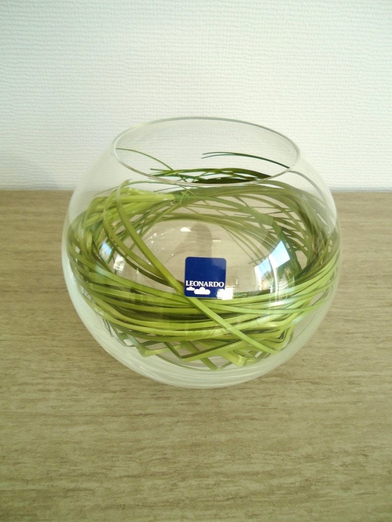 Mooie vaas Leonardo - nieuw, Ophalen of Verzenden, Nieuw, Glas