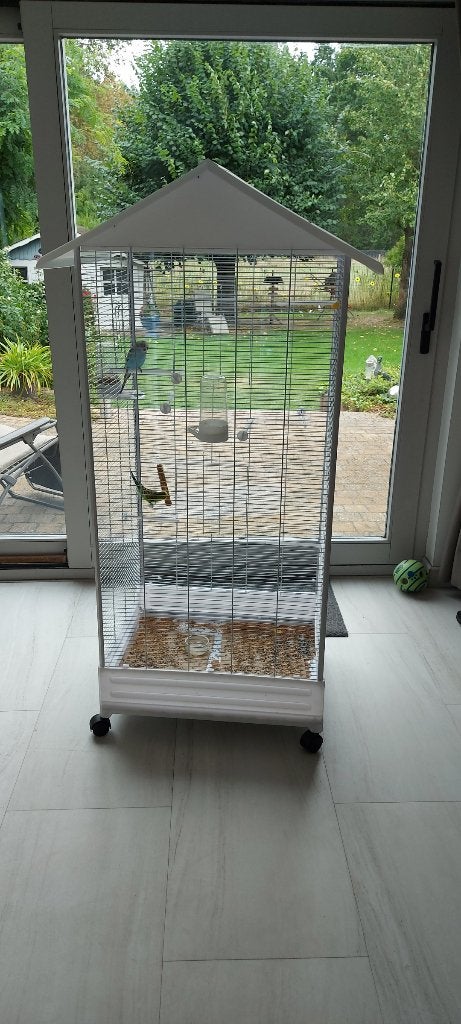 Nieuwe kooi met 1 paar mooie en jonge grasparkieten, Dieren en Toebehoren, Parkiet, Tam