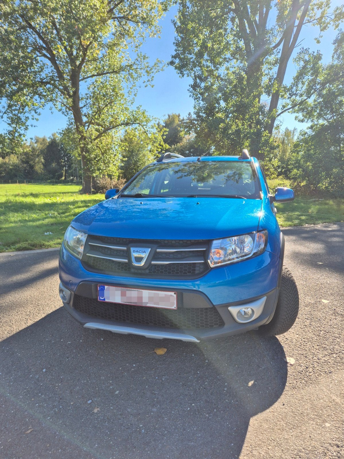 Dacia Sandero Stepway 1.5 dCi, Autos, Euro 5, Boîte manuelle, Particulier, 4 cylindres