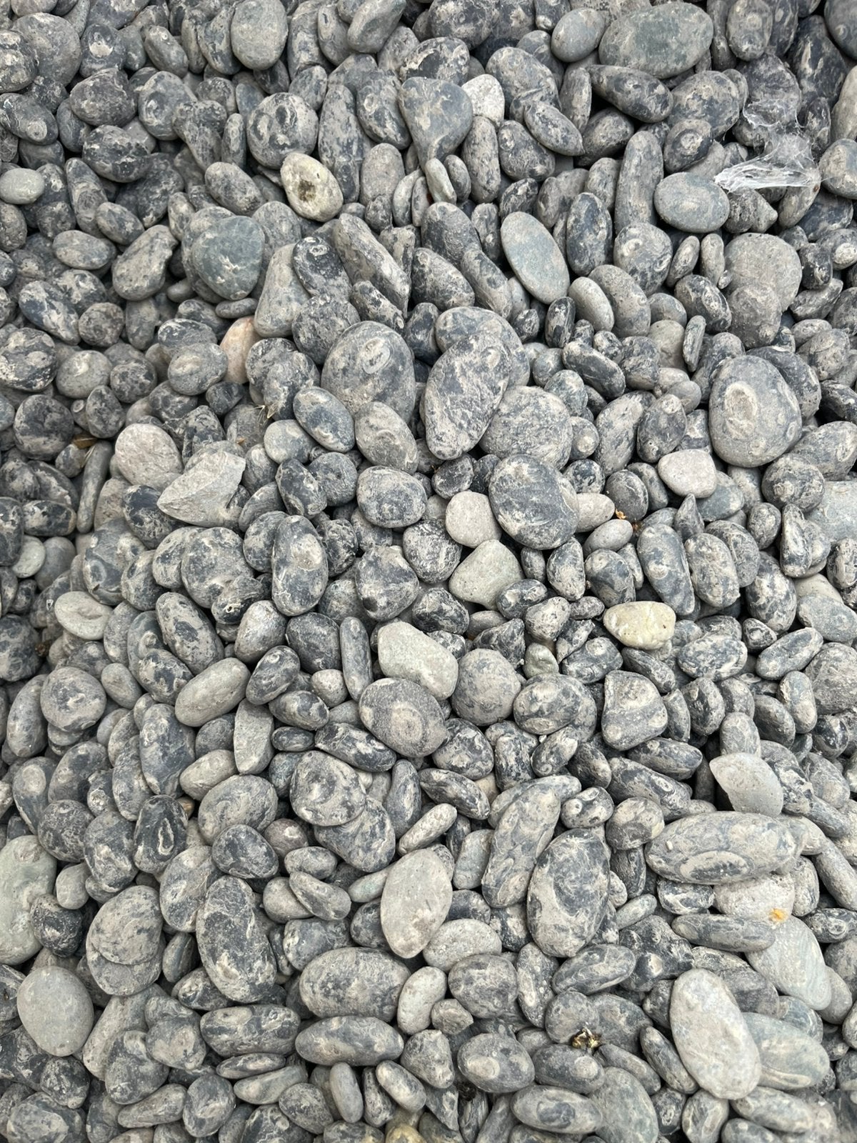 Pebles beach kiezel, Tuin en Terras, Ophalen, Overige materialen, Zwart, Nieuw