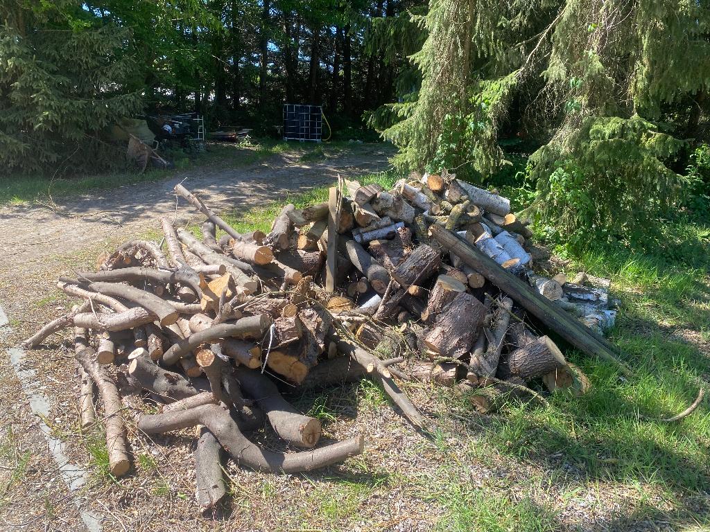 Brandhout, Tuin en Terras, Brandhout, Ophalen