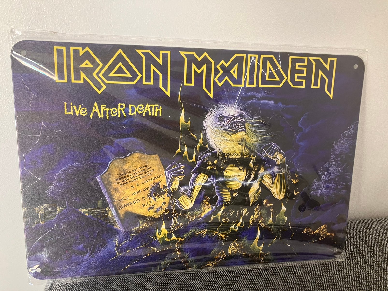 Iron maiden metalen bord, Collections, Musique, Artistes & Célébrités, Enlèvement ou Envoi, Neuf