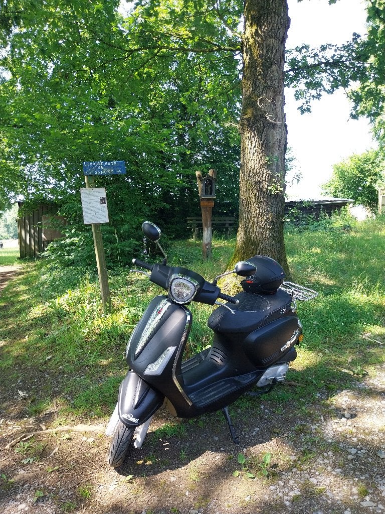 Scooter GTS BRAVO 50cc, Enlèvement, Plus de 35 kW