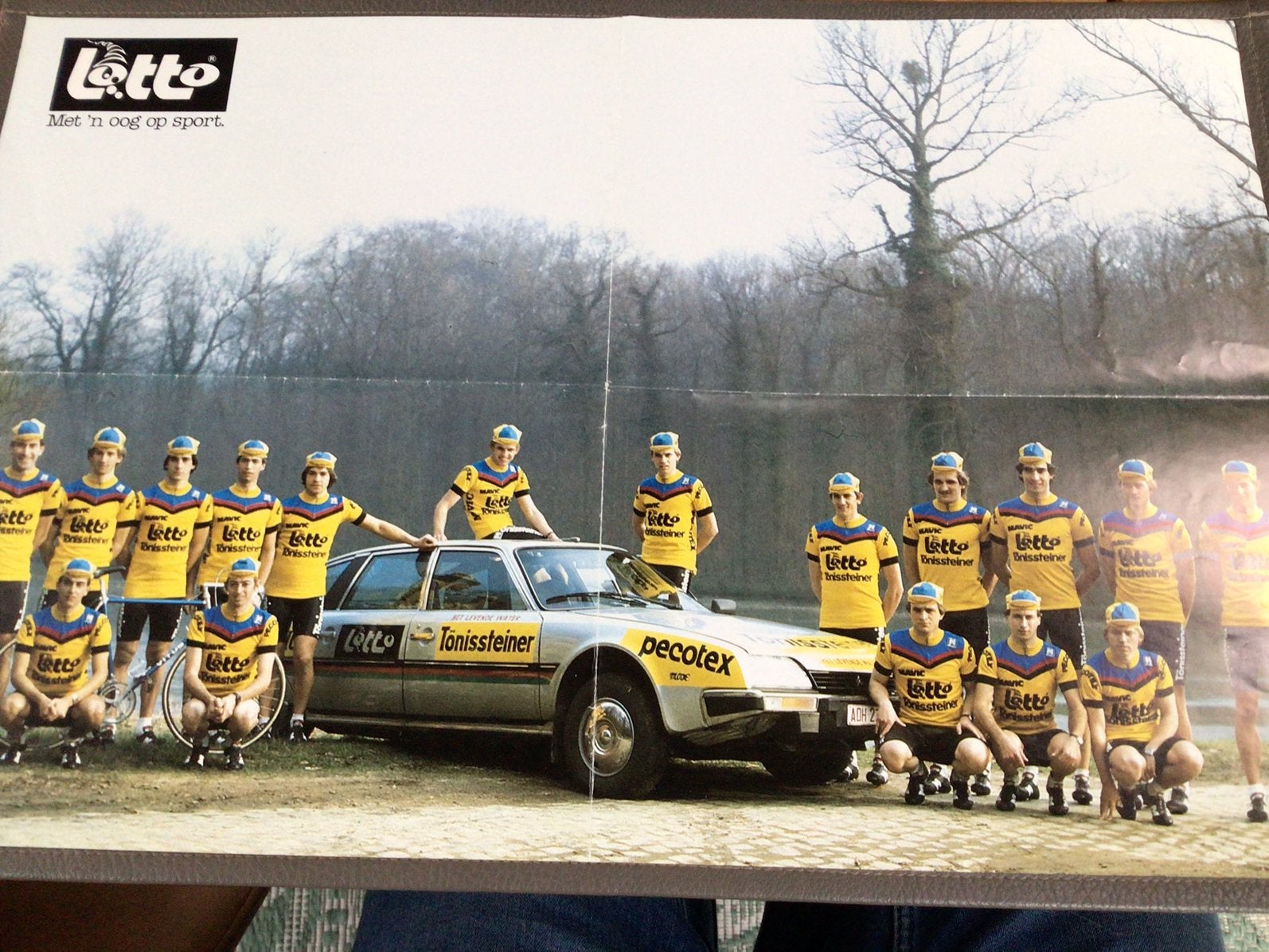 wielerposter 1984 team lotto tonissteiner  vitus, Ophalen of Verzenden, Zo goed als nieuw