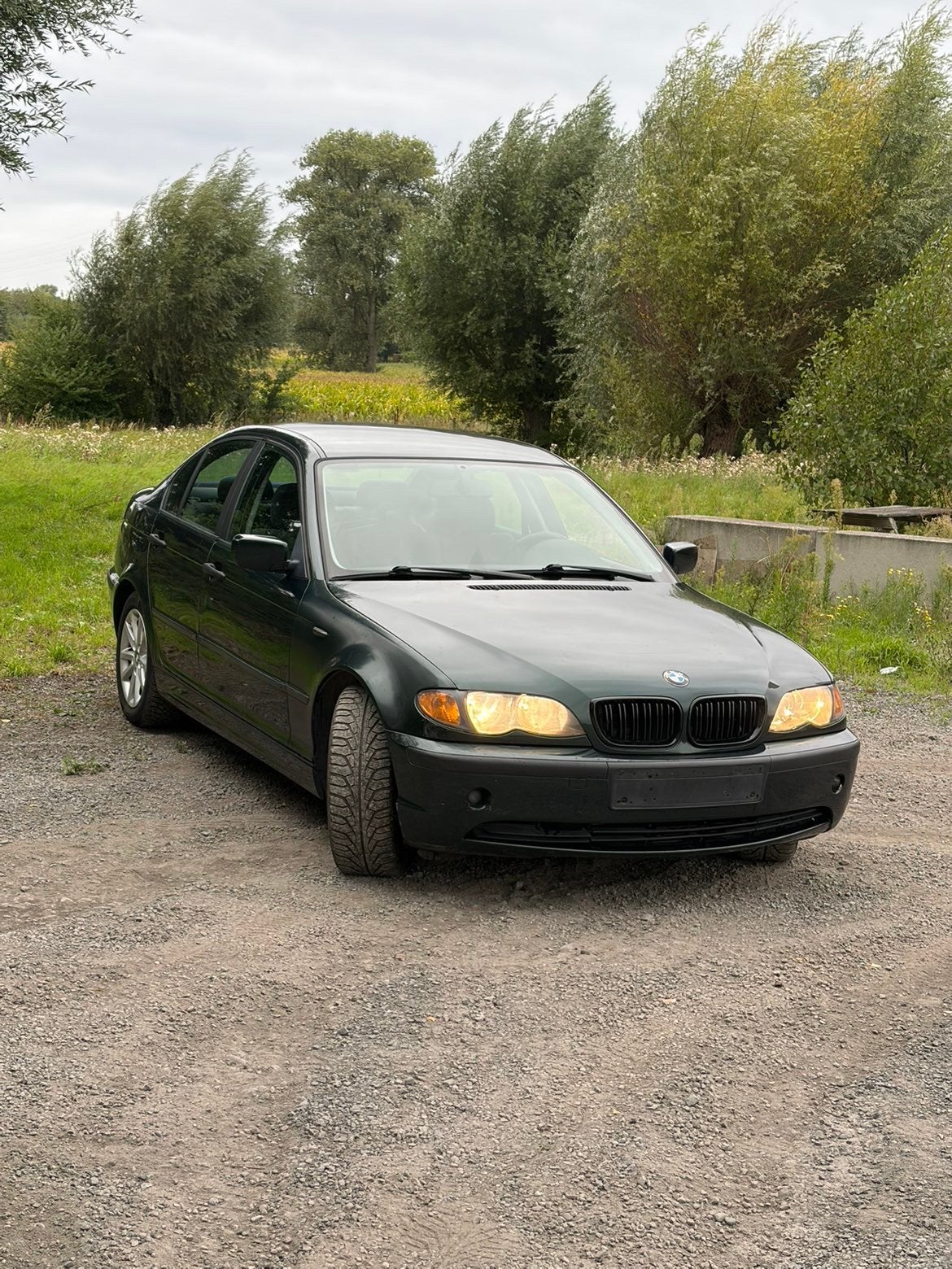 BMW 316i, Auto's, Achterwielaandrijving, 4 cilinders, Handgeschakeld, 5 deurs
