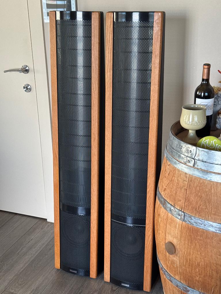 Martin logan aerius speakers, Autres marques, 60 à 120 watts, Comme neuf, Enlèvement
